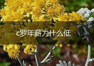 c罗年薪为什么低