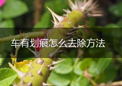 车有划痕怎么去除方法