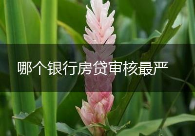 哪个银行房贷审核最严