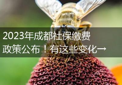 2023年成都社保缴费政策公布！有这些变化→