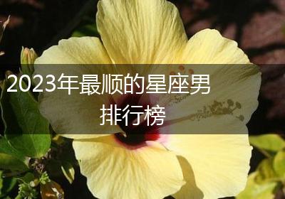 2023年最顺的星座男排行榜