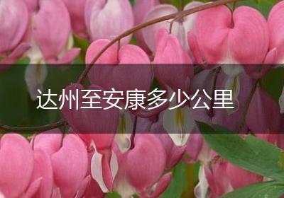 达州至安康多少公里