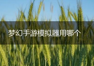 梦幻手游模拟器用哪个