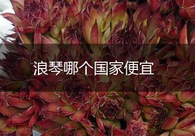 浪琴哪个国家便宜
