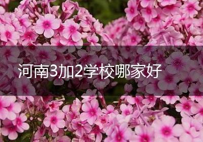 河南3加2学校哪家好