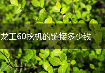 龙工60挖机的链接多少钱