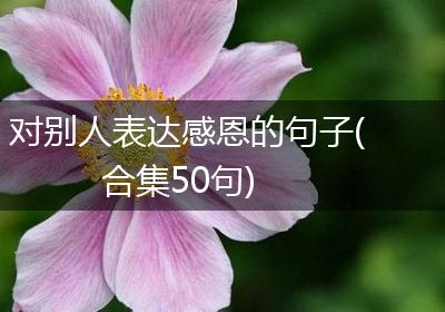 对别人表达感恩的句子(合集50句)