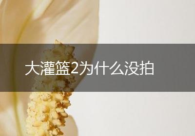 大灌篮2为什么没拍