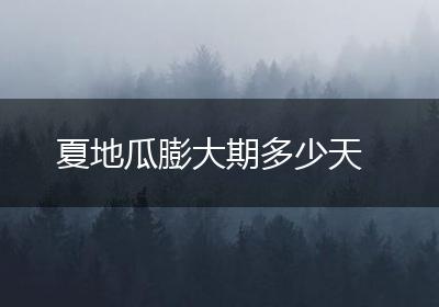 夏地瓜膨大期多少天