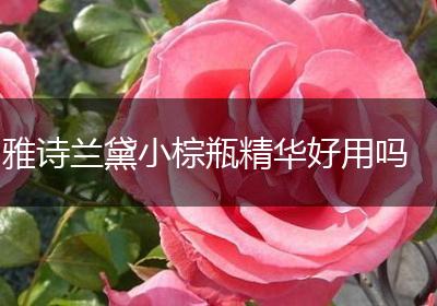 雅诗兰黛小棕瓶精华好用吗