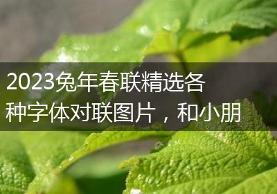 2023兔年春联精选各种字体对联图片，和小朋友一起手写一副吧
