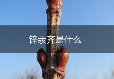 锌汞齐是什么