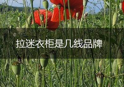 拉迷衣柜是几线品牌