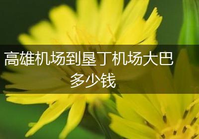 高雄机场到垦丁机场大巴多少钱