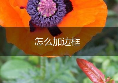 怎么加边框