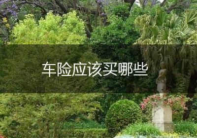 车险应该买哪些