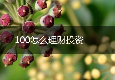100怎么理财投资