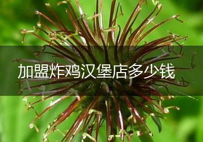 加盟炸鸡汉堡店多少钱