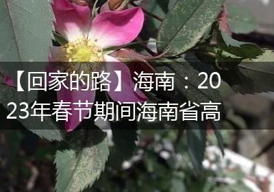 【回家的路】海南：2023年春节期间海南省高速路网出行服务指南