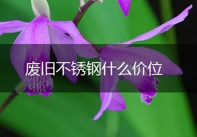 废旧不锈钢什么价位