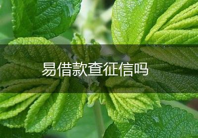 易借款查征信吗