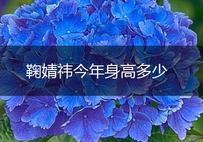 鞠婧祎今年身高多少