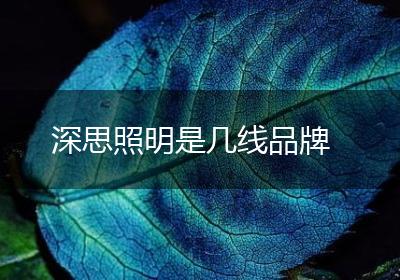 深思照明是几线品牌