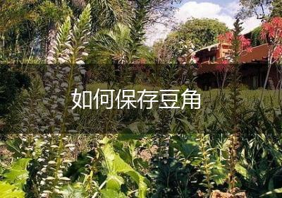 如何保存豆角