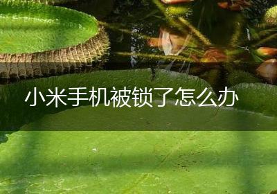 小米手机被锁了怎么办