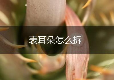 表耳朵怎么拆