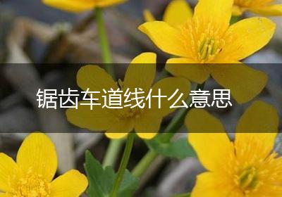 锯齿车道线什么意思