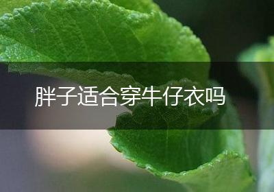 胖子适合穿牛仔衣吗