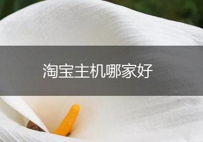 淘宝主机哪家好