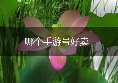 哪个手游号好卖