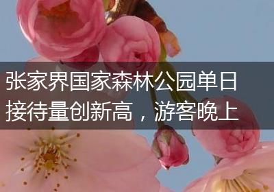 张家界国家森林公园单日接待量创新高，游客晚上被困山上？景区回应