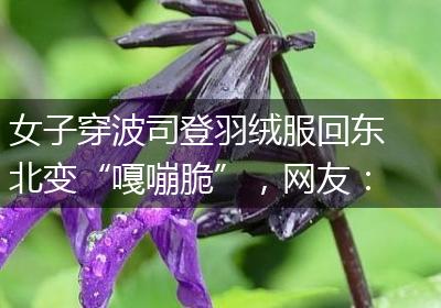 女子穿波司登羽绒服回东北变“嘎嘣脆”，网友：以为里面塞薯片了