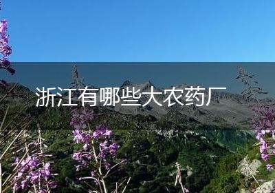 浙江有哪些大农药厂