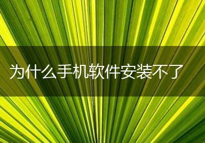 为什么手机软件安装不了
