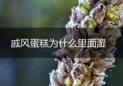 戚风蛋糕为什么里面湿