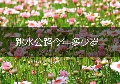 跳水公路今年多少岁