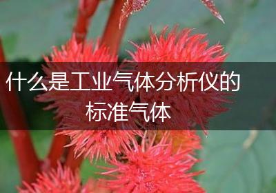 什么是工业气体分析仪的标准气体