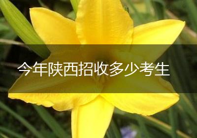 今年陕西招收多少考生