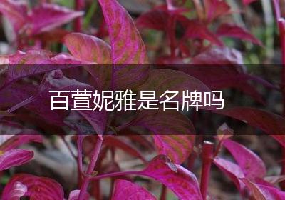 百萱妮雅是名牌吗