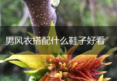 男风衣搭配什么鞋子好看