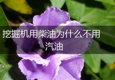 挖掘机用柴油为什么不用汽油