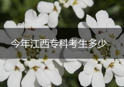 今年江西专科考生多少