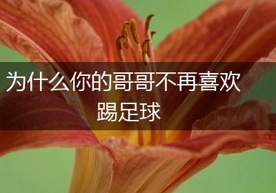 为什么你的哥哥不再喜欢踢足球