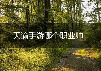 天谕手游哪个职业帅
