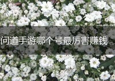 问道手游哪个号最厉害赚钱