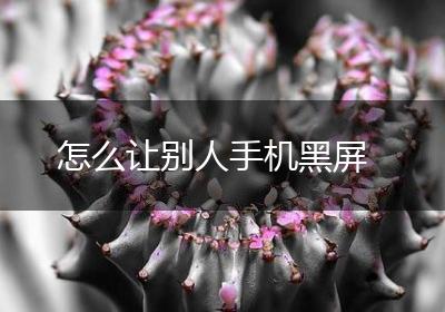 怎么让别人手机黑屏